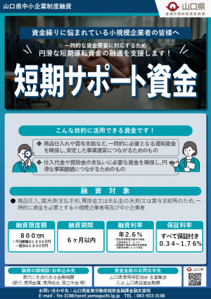 フライヤー