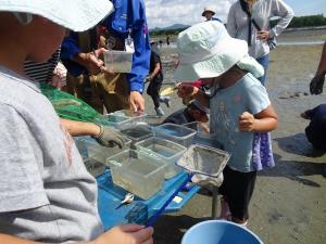 干潟の生き物観察会