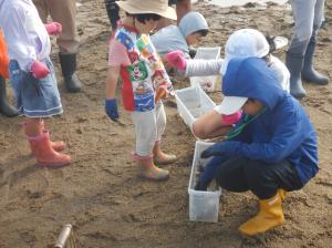 昨年度の様子③　生き物観察