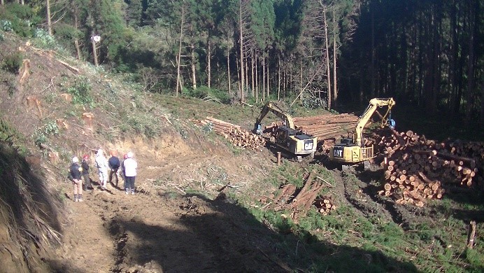 高性能林業機械が連携した造材状況 高性能林業機械が連携した造材状況の画像