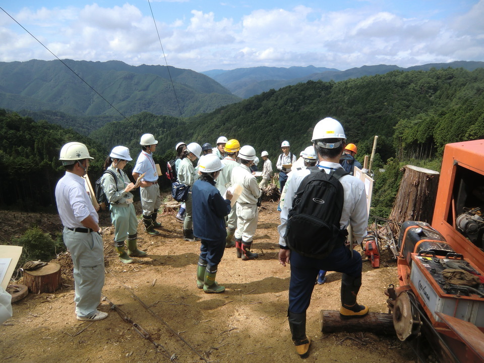 見学の模様 見学の模様