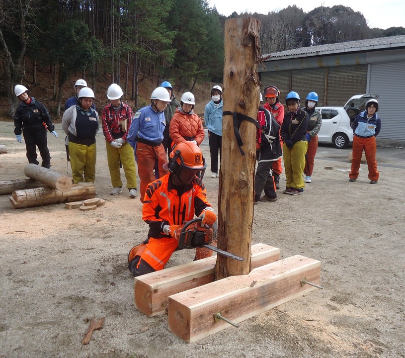 伐倒訓練装置を活用した伐木方法の画像