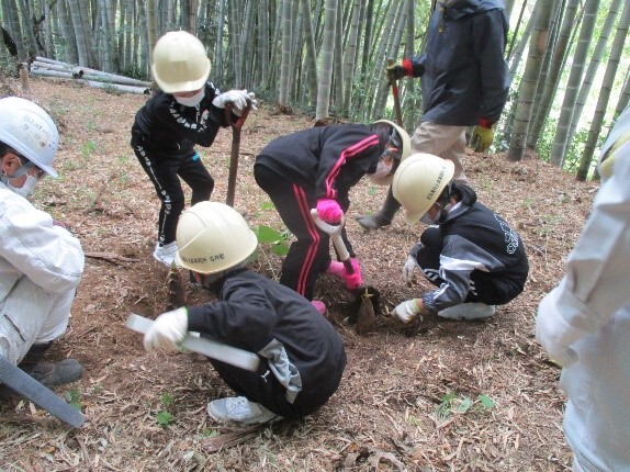 みんなで協力して掘り取り みんなで協力して掘り取りの画像