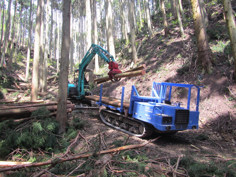 間伐材の搬出 間伐材の搬出の画像