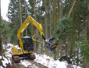 間伐施業 間伐施業の画像