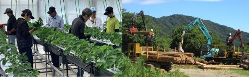 農業研修と林業研修